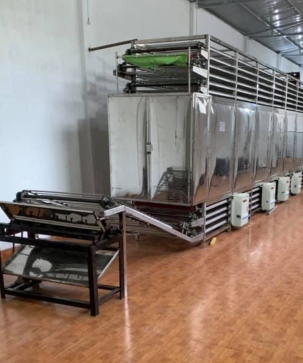 Làm chủ quy trình sản xuất phở với sự trợ giúp của máy làm phở